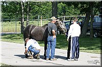 4H-Show-2003-001.jpg