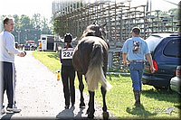 4H-Show-2003-002.jpg