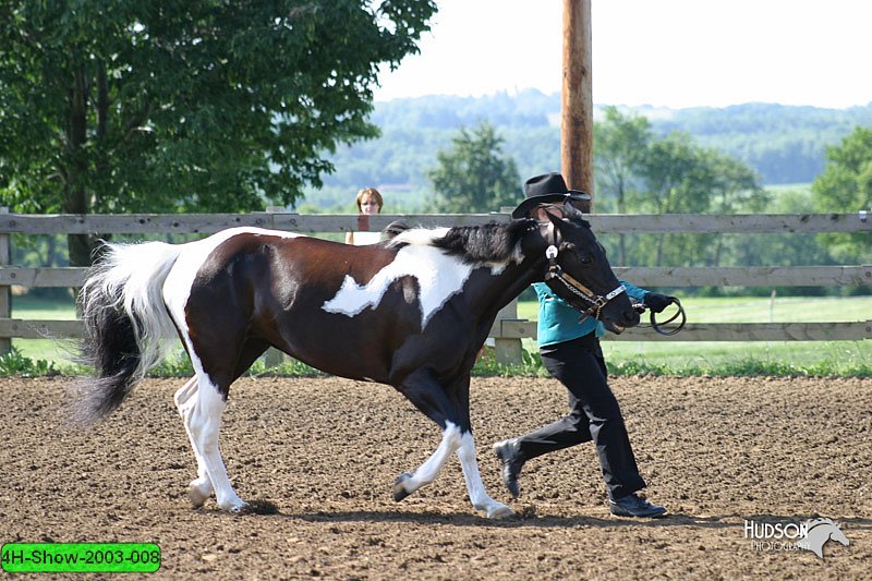 4H-Show-2003-008.jpg