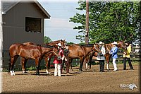 4H-Show-2003-004.jpg