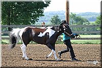 4H-Show-2003-008.jpg