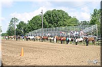 4H-Show-2003-027.jpg