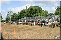 4H-Show-2003-028.jpg