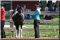 4H-Show-2003-030.jpg