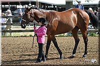 4H-Show-2003-032.jpg