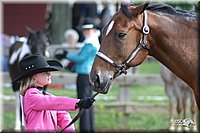 4H-Show-2003-033.jpg