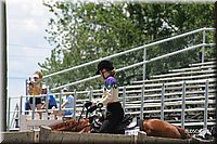 4H-Show-2003-072.jpg