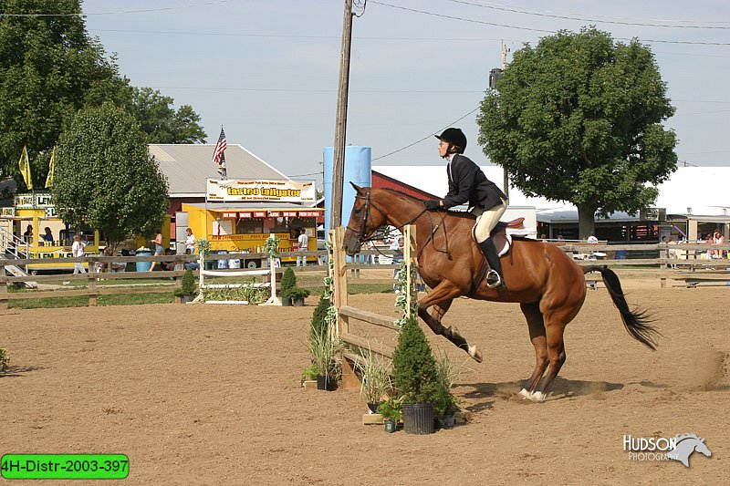4H-Distr-2003-397.jpg
