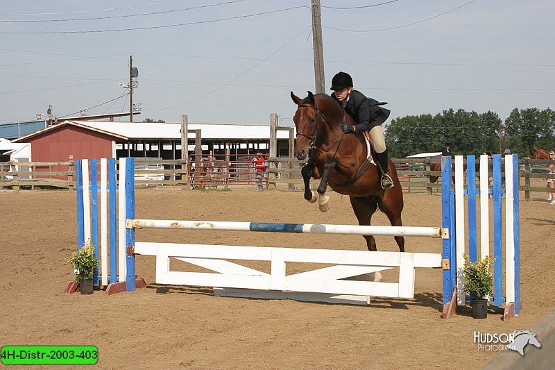 4H-Distr-2003-403.jpg