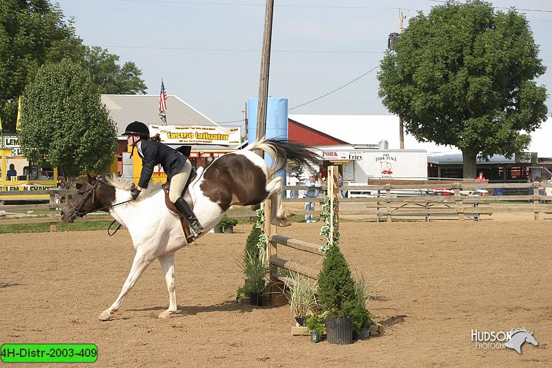 4H-Distr-2003-409.jpg