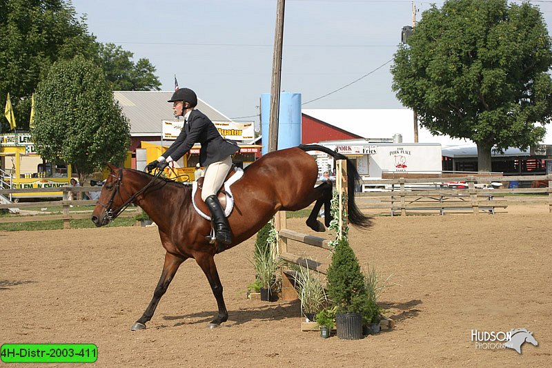 4H-Distr-2003-411.jpg