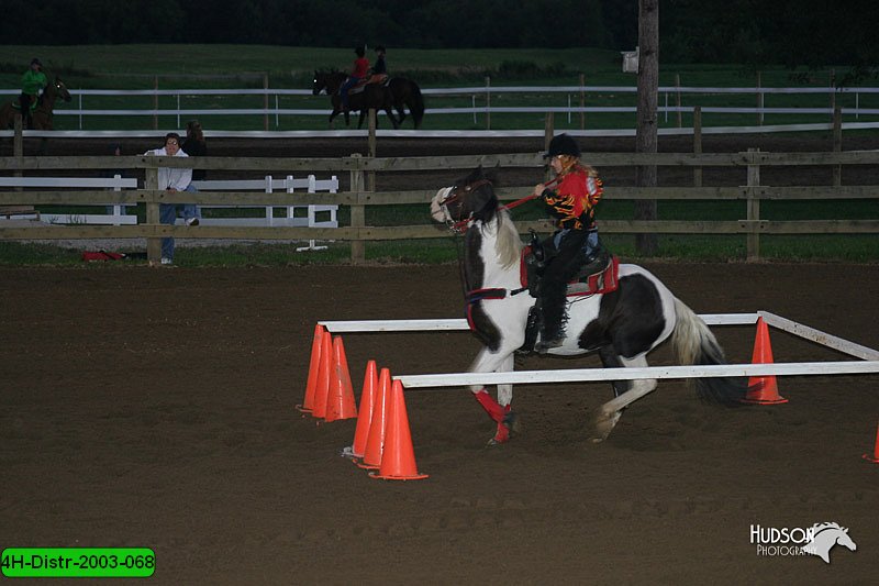 4H-Distr-2003-068.jpg