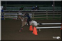 4H-Distr-2003-069.jpg