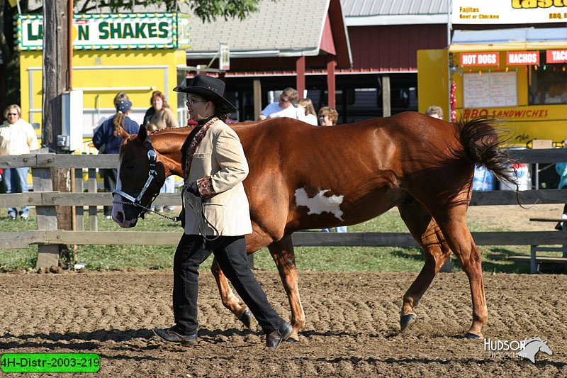 4H-Distr-2003-219.jpg