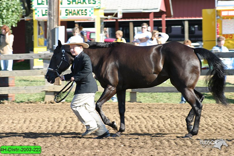 4H-Distr-2003-222.jpg