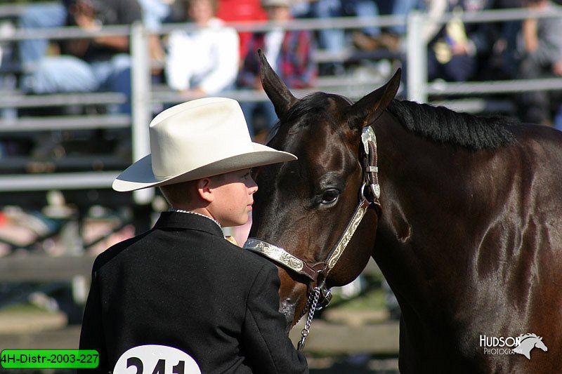 4H-Distr-2003-227.jpg
