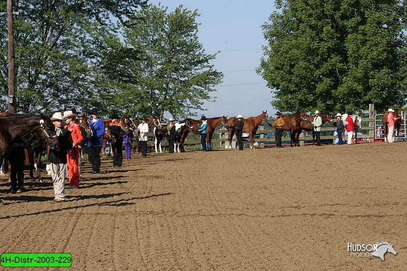 4H-Distr-2003-229.jpg