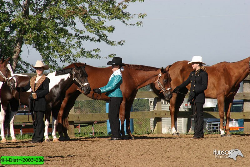 4H-Distr-2003-230.jpg