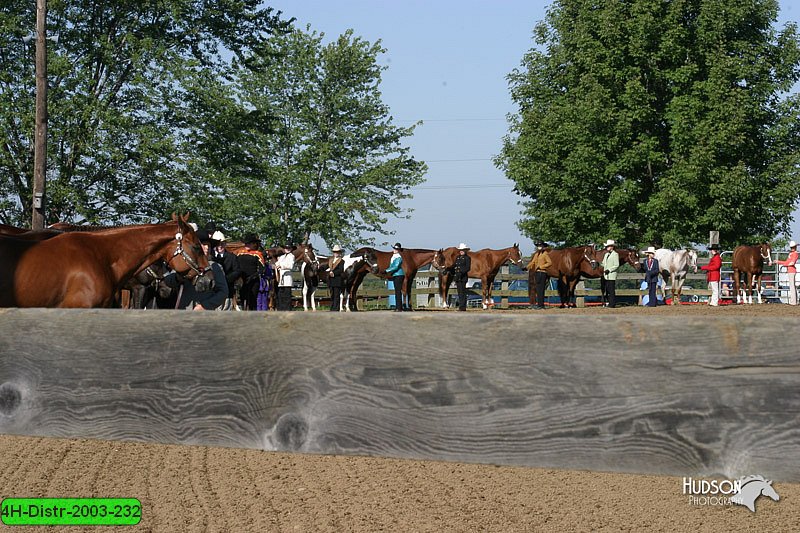 4H-Distr-2003-232.jpg
