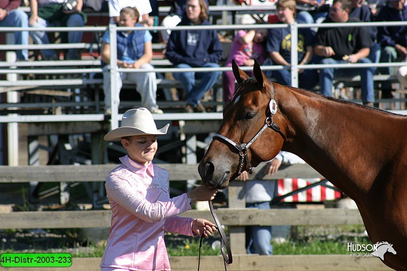 4H-Distr-2003-233.jpg