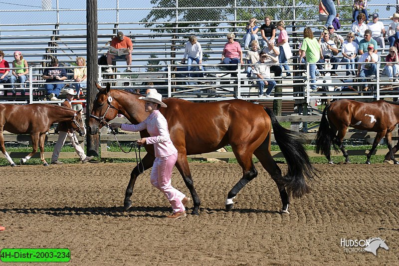 4H-Distr-2003-234.jpg