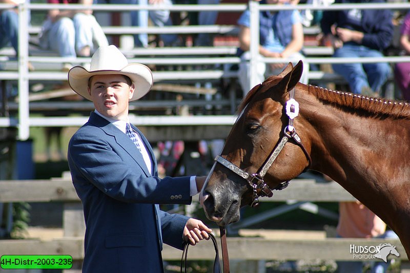 4H-Distr-2003-235.jpg