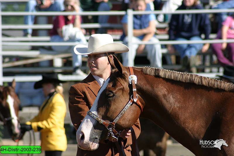 4H-Distr-2003-239.jpg