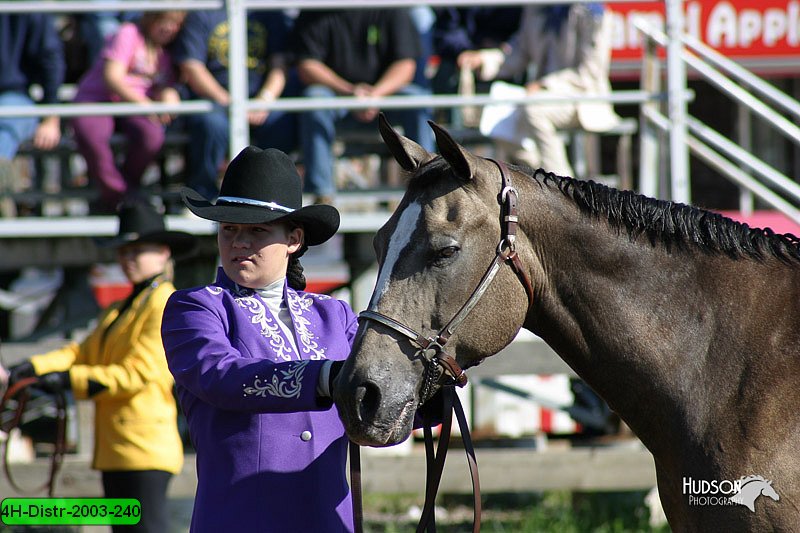 4H-Distr-2003-240.jpg