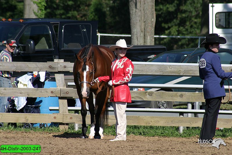 4H-Distr-2003-247.jpg