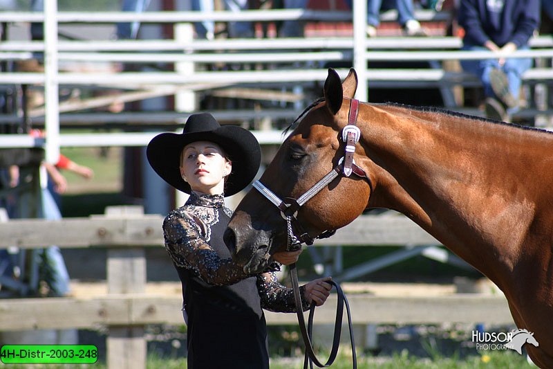4H-Distr-2003-248.jpg