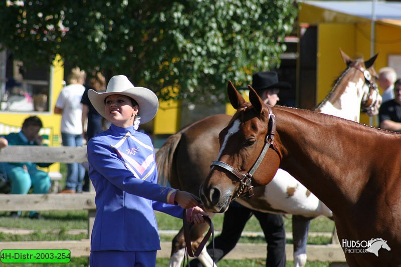 4H-Distr-2003-254.jpg