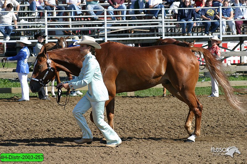 4H-Distr-2003-257.jpg