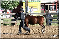 4H-Distr-2003-215.jpg