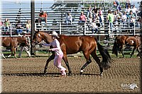 4H-Distr-2003-234.jpg