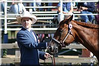 4H-Distr-2003-235.jpg