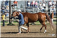4H-Distr-2003-236.jpg