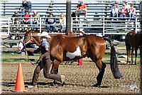 4H-Distr-2003-238.jpg