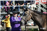 4H-Distr-2003-240.jpg