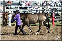 4H-Distr-2003-241.jpg