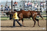 4H-Distr-2003-242.jpg