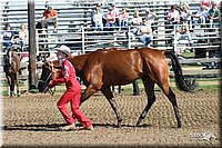 4H-Distr-2003-244.jpg