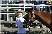 4H-Distr-2003-245.jpg