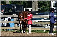 4H-Distr-2003-247.jpg