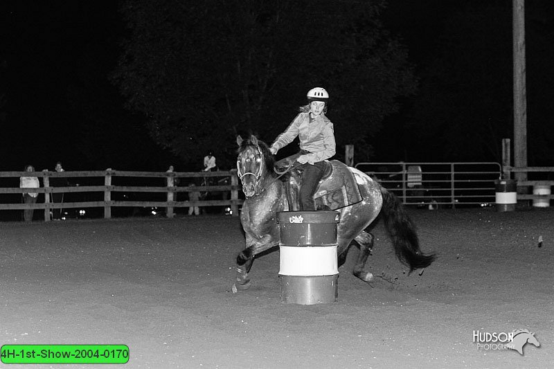 4H-1st-Show-2004-0170.jpg