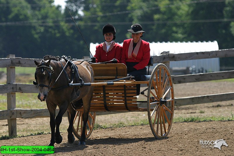 4H-1st-Show-2004-0464.jpg