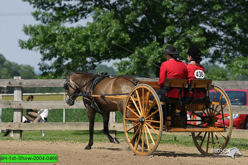 4H-1st-Show-2004-0466.jpg