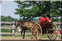 4H-1st-Show-2004-0467.jpg