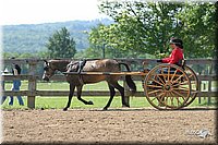 4H-1st-Show-2004-0469.jpg