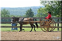 4H-1st-Show-2004-0470.jpg