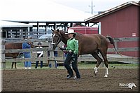 4H-1st-Show-2004-0017.jpg